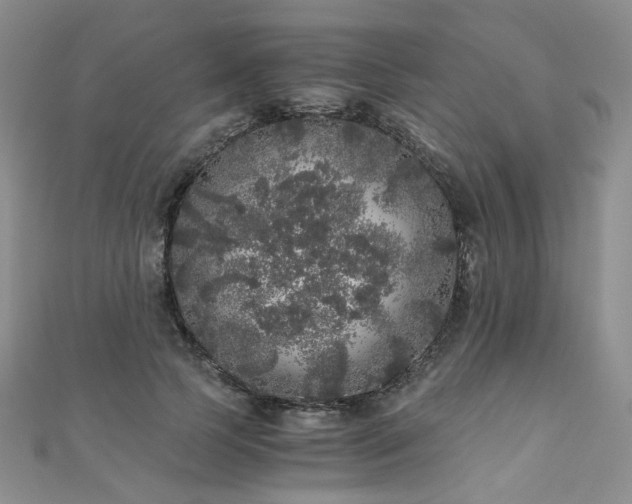 X0000110870745200906181202