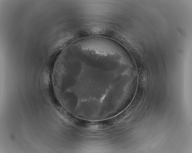 X0000110870746200906181202