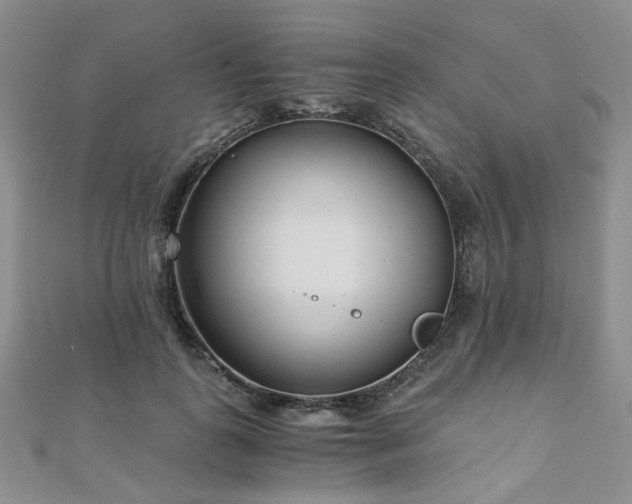 X0000110870747200906181202