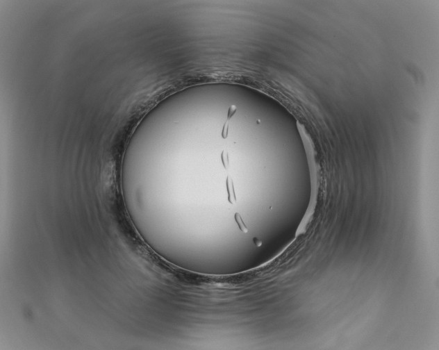 X0000110870748200906181202