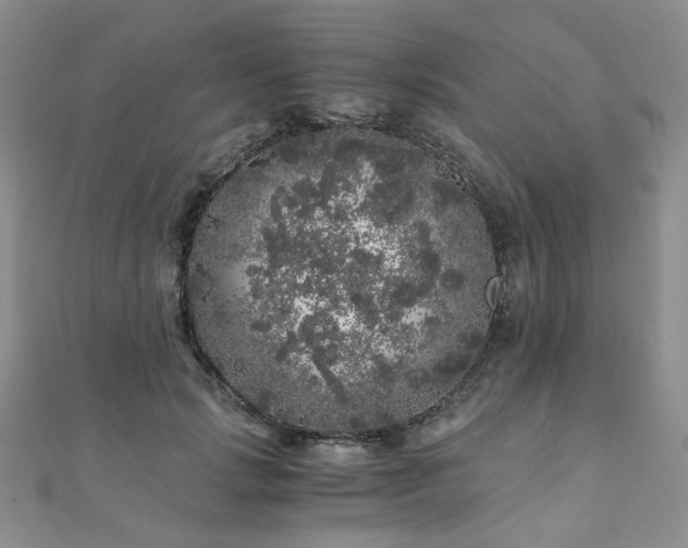 X0000110870749200906181202