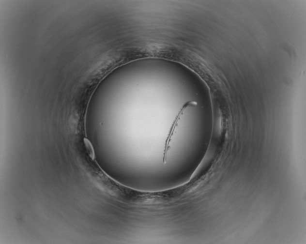 X0000110870750200906181202