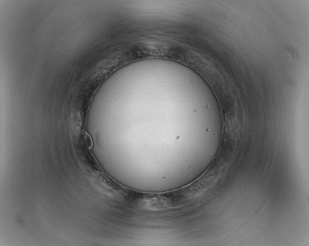 X0000110870752200906181202