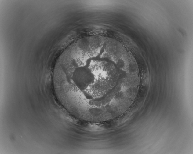 X0000110870753200906181202