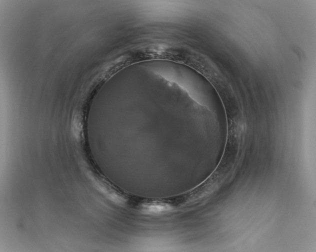 X0000110870754200906181202