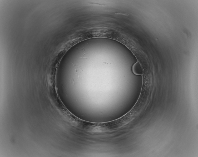 X0000110870755200906181202