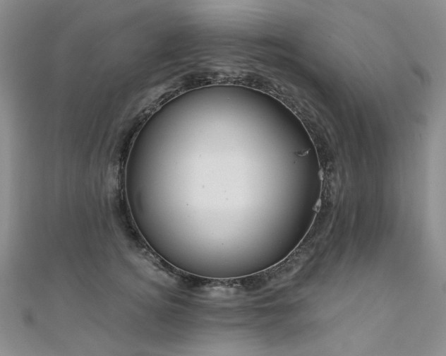 X0000110870756200906181202