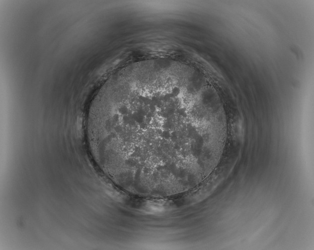 X0000110870757200906181202