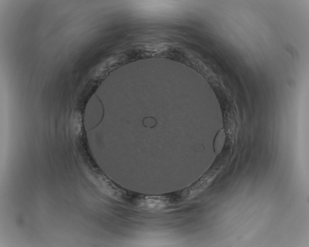 X0000110870758200906181202