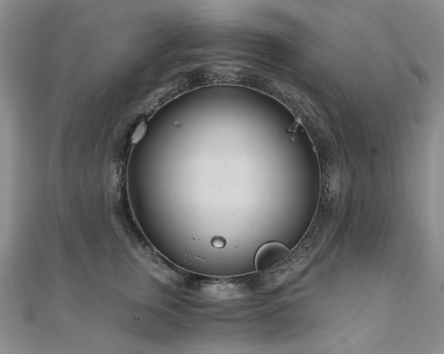 X0000110870759200906181202