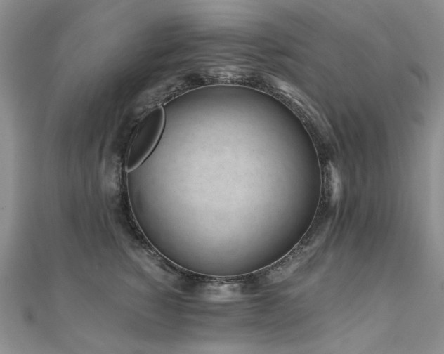 X0000110870760200906181202