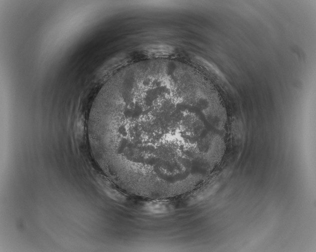 X0000110870761200906181202