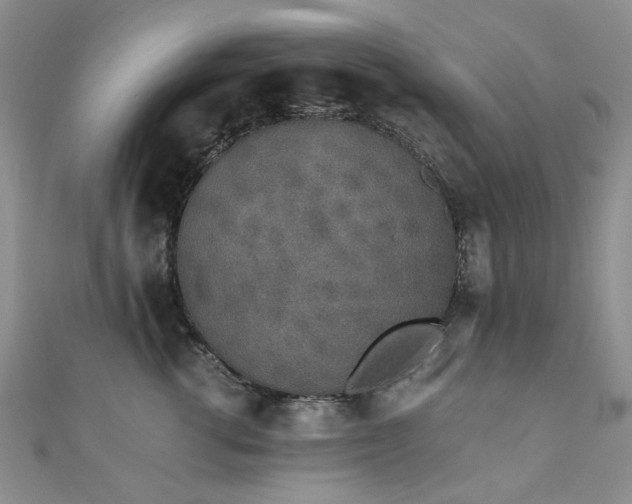 X0000110870762200906181202