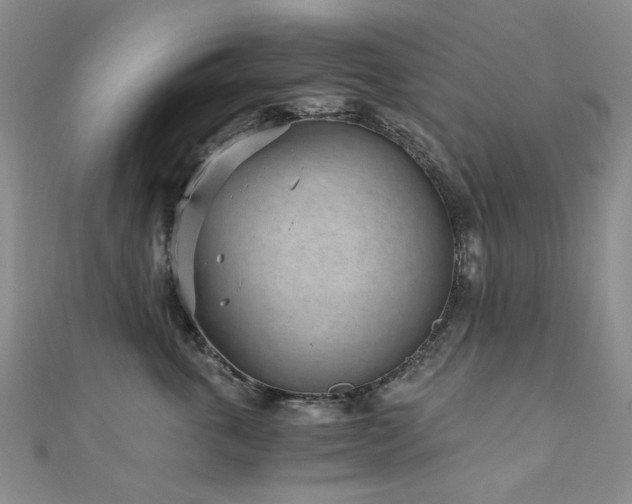 X0000110870763200906181202