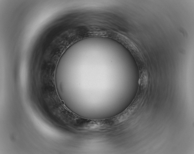 X0000110870764200906181202