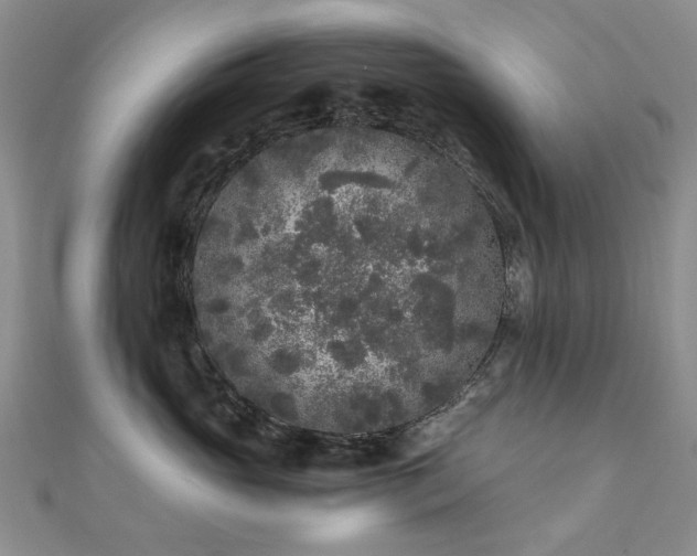 X0000110870765200906181202