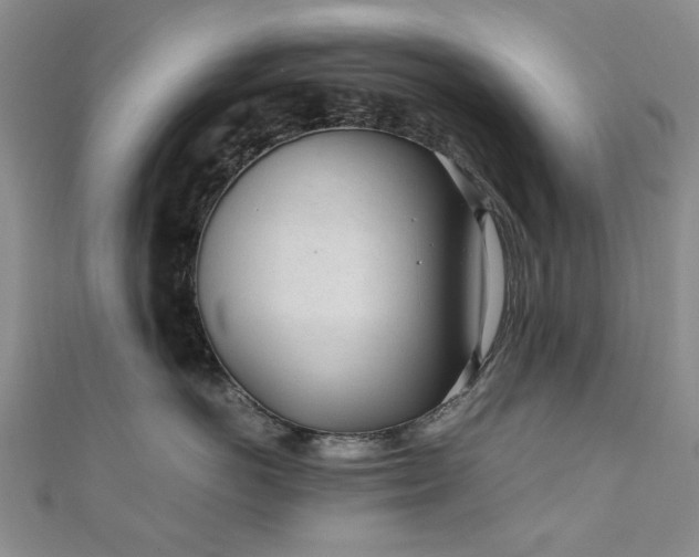 X0000110870766200906181202