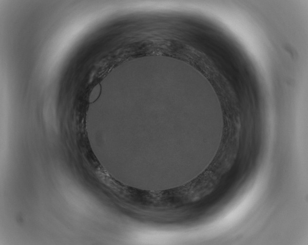 X0000110870767200906181202