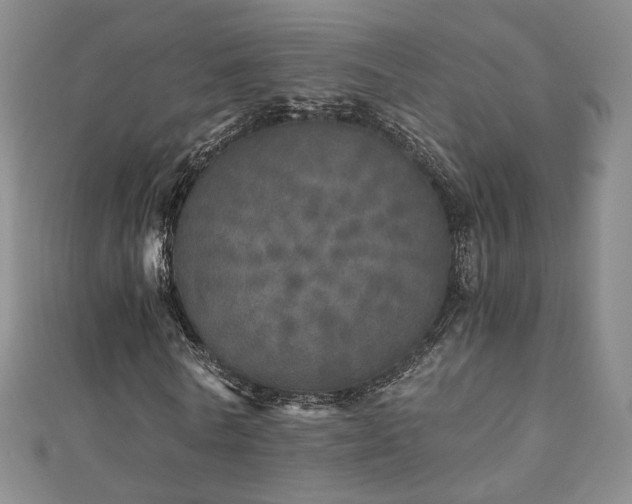 X0000110870770200906181201