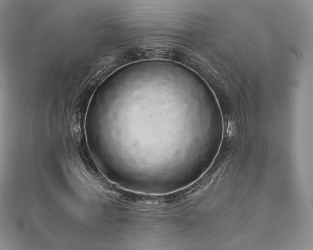 X0000110870771200906181201