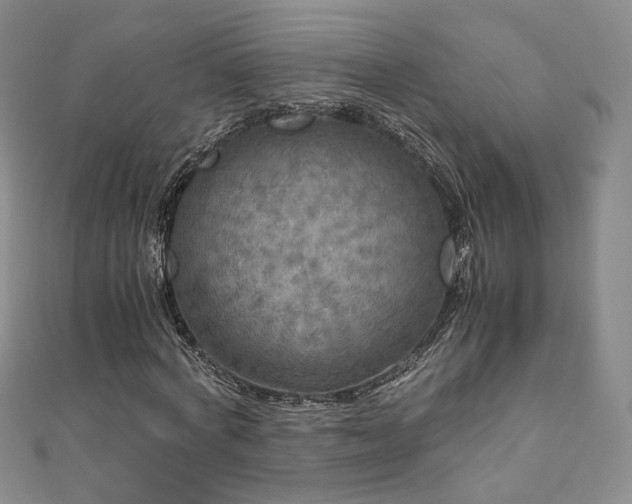 X0000110870772200906181201