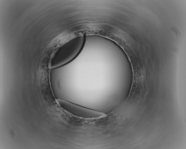 X0000110870773200906181201