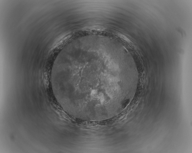 X0000110870774200906181201