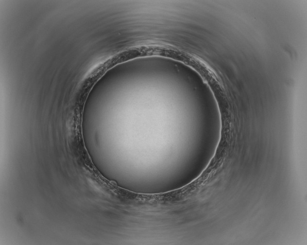 X0000110870775200906181201