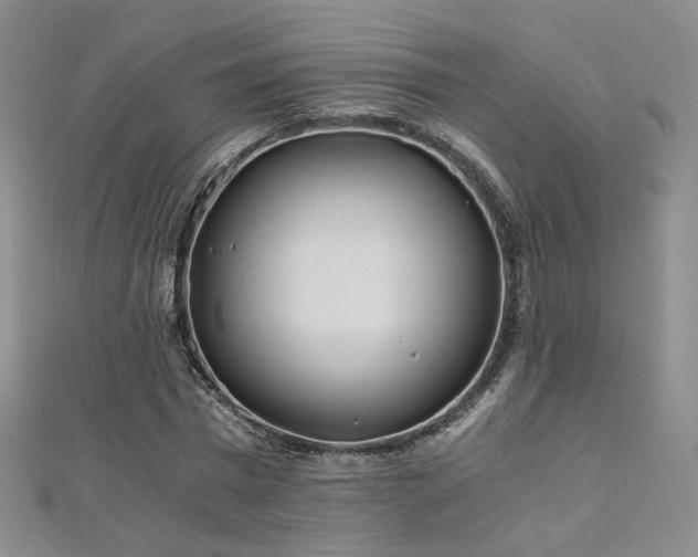 X0000110870777200906181201