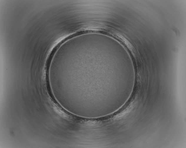 X0000110870779200906181201