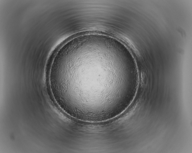 X0000110870780200906181201