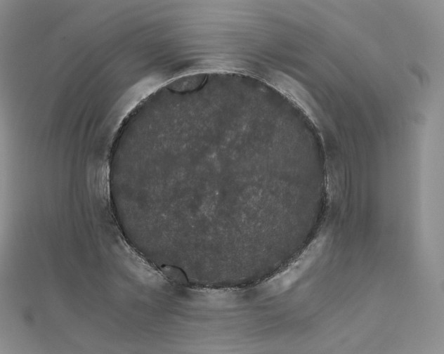 X0000110870781200906181201