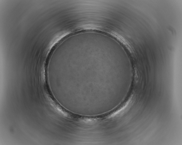 X0000110870782200906181201