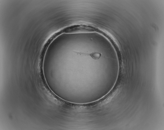 X0000110870783200906181201