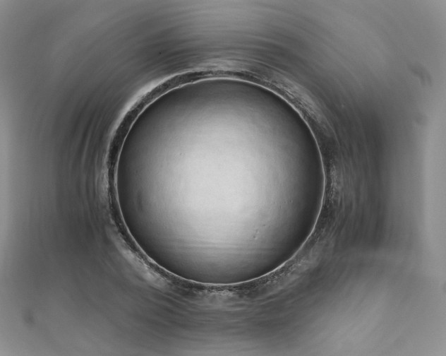 X0000110870784200906181201