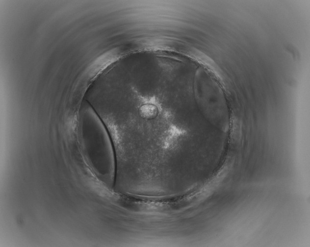 X0000110870785200906181201