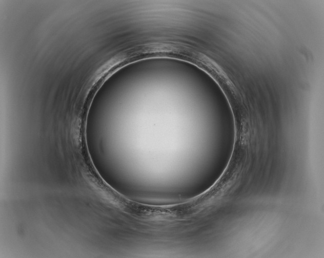 X0000110870786200906181201