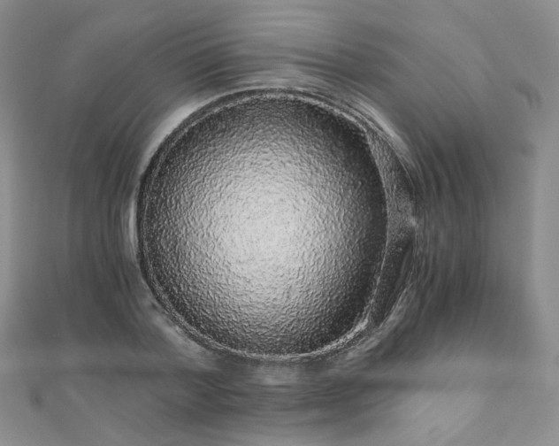 X0000110870788200906181201