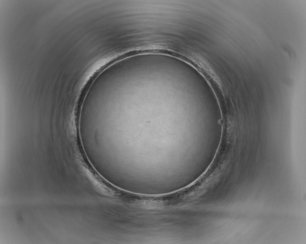 X0000110870789200906181201