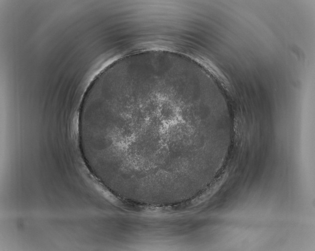 X0000110870790200906181201