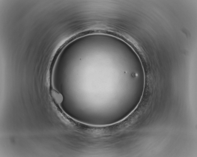 X0000110870791200906181201