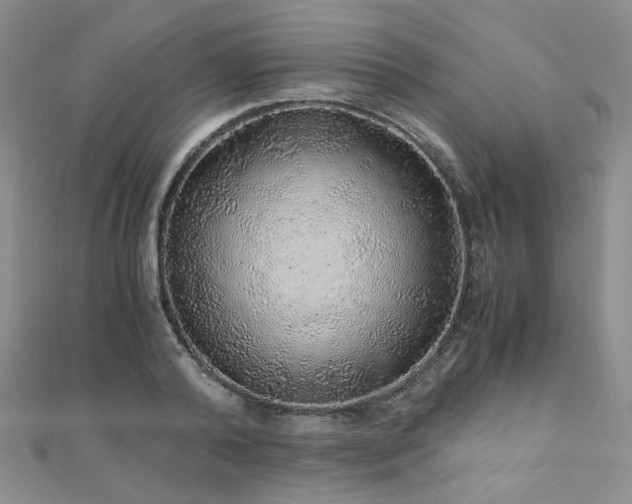 X0000110870792200906181201