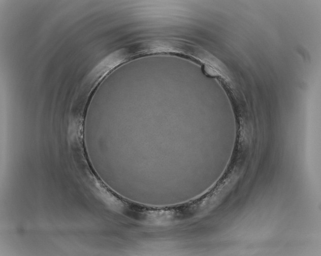 X0000110870793200906181201