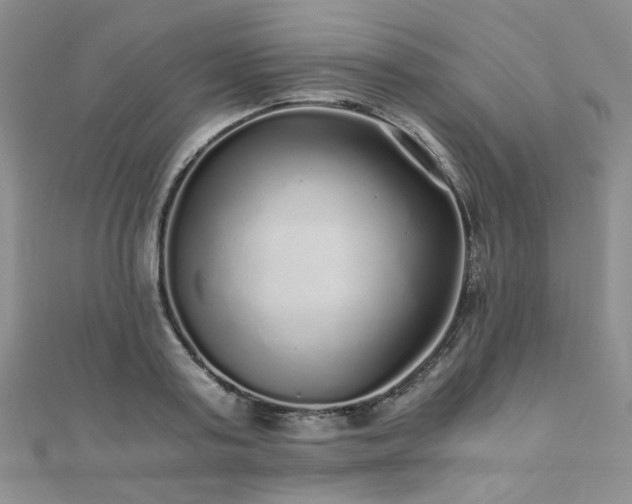 X0000110870795200906181201