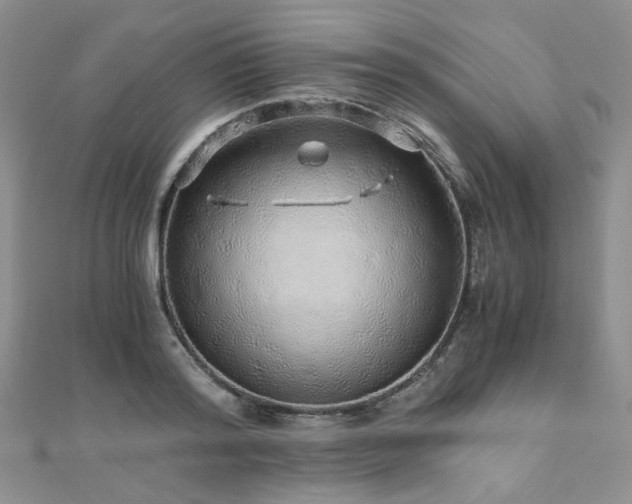 X0000110870796200906181201