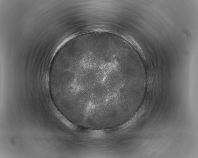 X0000110870798200906181201