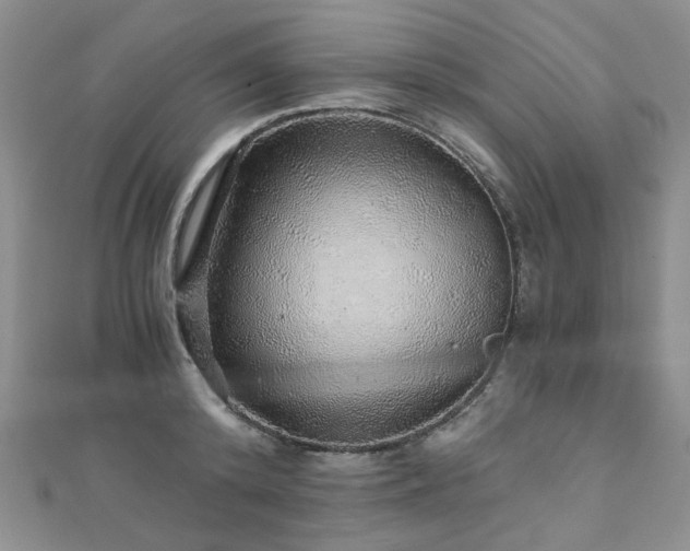 X0000110870800200906181201