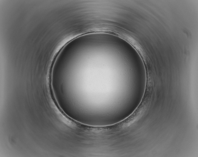 X0000110870803200906181201