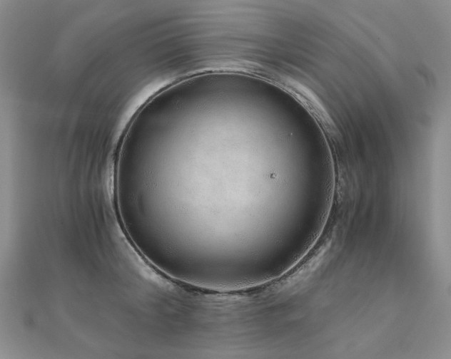 X0000110870804200906181201