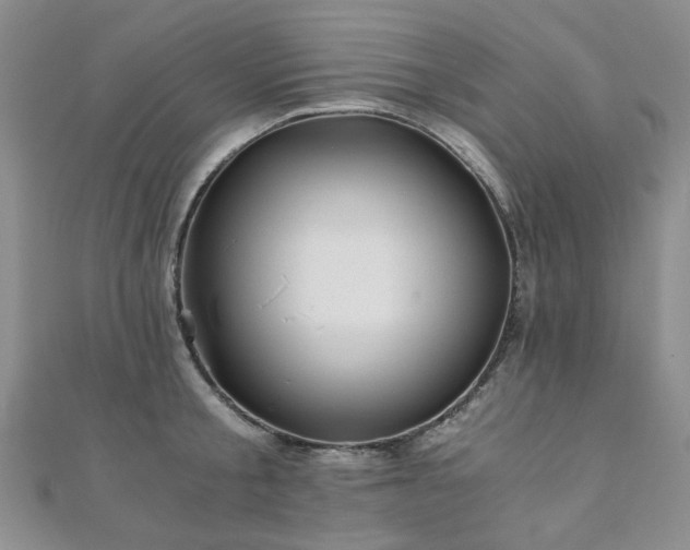 X0000110870805200906181201